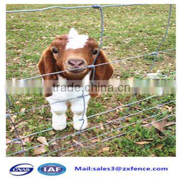 Factory Direct Cheap Heavy Duty Sheep Fence,horse Fence,cattle Fence photo-6