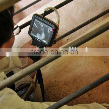 New Model Vet Ultrasound Scanner With High Quality photo-4