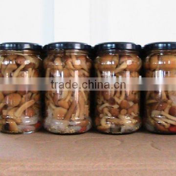 canned nameko