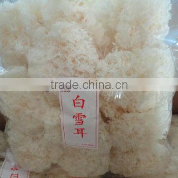 Dried White Fungus whole