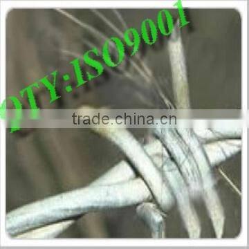 Barbed Wire/ Galvanized Barbed Wire/ PVC Barbed Wire