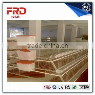 High quality chicken layer cage/egg chicken farm use/Model Poultry Cage