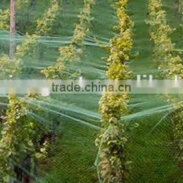 Anti-bird Netting for Garden yard Agriculture