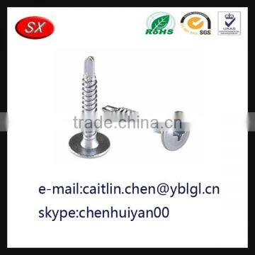 Dongguan Hardware Factory Custom Steel Screw photo-2