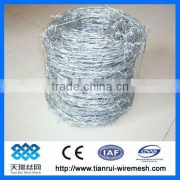 Hot sale/ Low price galvanized barbed wire (factory)