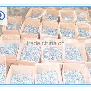 Mechanic Galvanized Coil Roofing Nail&120 Pcs per Coil Galvanized Roofing Nail photo-3