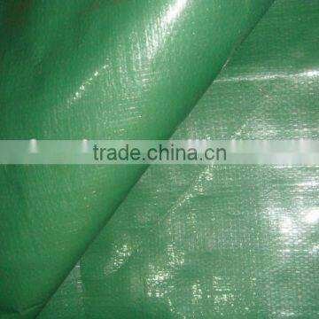 Greenhouse Floor Covering photo-2