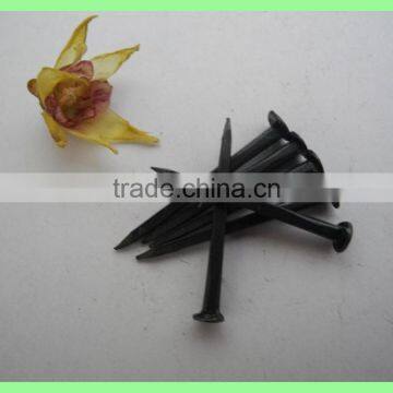 Fine Blue Shoe Tacks / Fine Blue Shoe Nails photo-3