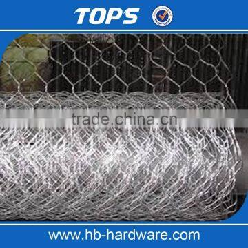 Galvanized Hexagonal Wire Netting Chicken Poultry Fence photo-6