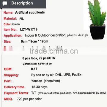 Eco-friendly High Quality Potted Succulent Plants Bonsai Cactus Mini Succulent photo-3