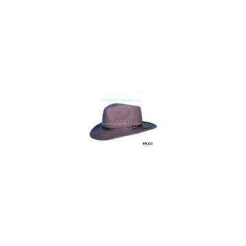 western cowboy hat,stetson hat