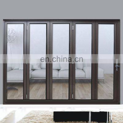 Modern Design Double Glass Folding Door / Accordion Door