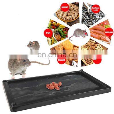 Hot Popular Oem Mouse & Rat Sticky Traps Glue Trays