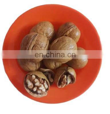 Walnut/walnut Kernels Sample Free
