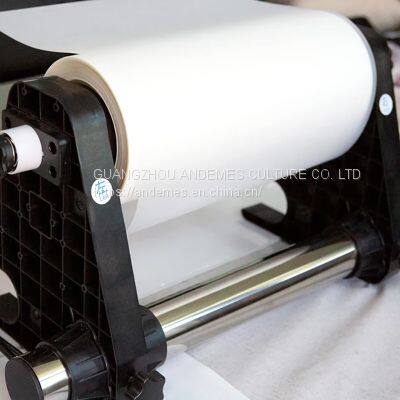 A3 13inch 11.8inch DTF Film Roll Glossy /Matte PET Films for DTF Printing Machines Hot/Cool Peel PET Heat Transfer Vinyl Film photo-3