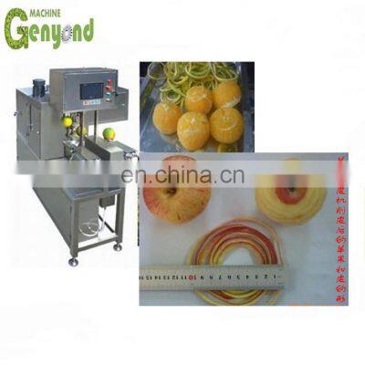 Small Capacity Apple Chips Drying Processing Plant photo-4