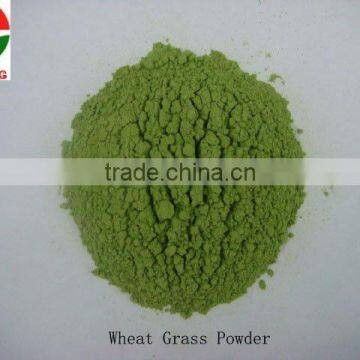 Natural Dehydrated Fruit Powders photo-6