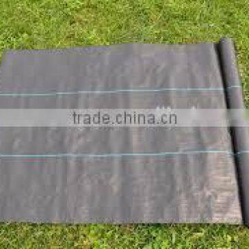 pp woven ground cover supplier