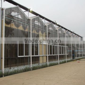 Commercial Glass Greenhouse