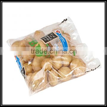 Gold supplier Plastic Ldpe side gusset food packaging bag