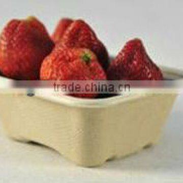 Eco-smart 100% Biodegradable Freezer Safe Fruit Box