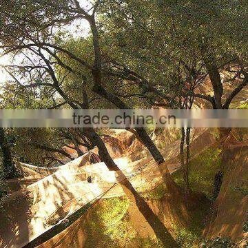 agriculture olive net HDPE / PE /green olive harvest net