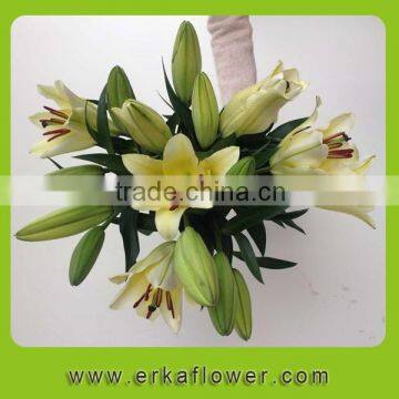 Exquisite 2016 best selling fresh cut flowers lilium