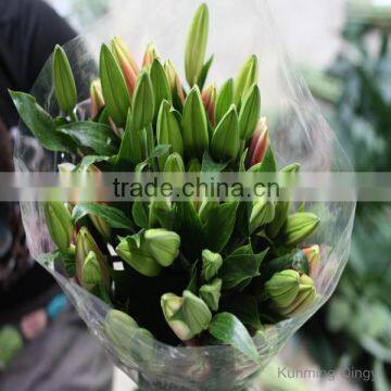 wholesale fresh cut flowers lily flower