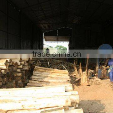 Eucalyptus Core Veneer photo-6