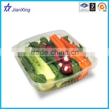 Disposable PET Blister Transparent Clear Clamshell Fruit Container