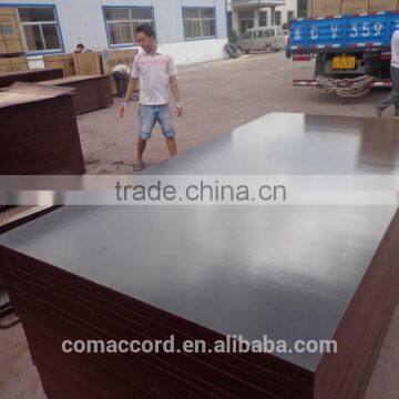 Black/Brown Film Faced Plywood for Construction