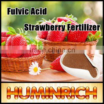 FAQ 31--What Impact Does Huminrich Fulvic Acid Apply To Strawberries?