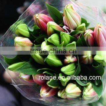 World Class High Quality Fresh Lilium With Good Packaging photo-5
