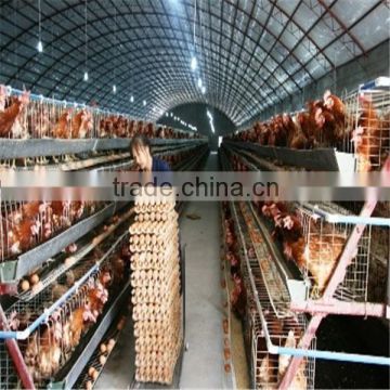 battery layer cages 3 tiers x 5cells strong chicken cage for sale in kenya