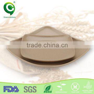 Organic Adults and Children Japanese Restaurant Plates Sale photo-6