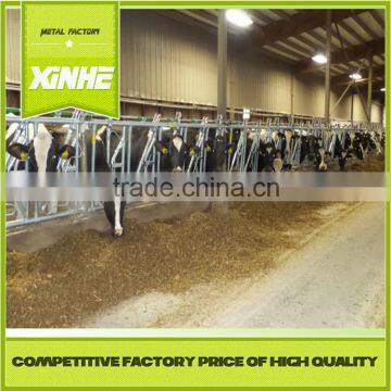 Low price and fine supplier 10ft hot dip galvanized dairy cow headlock