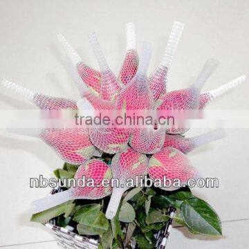 Protective netting for flower
