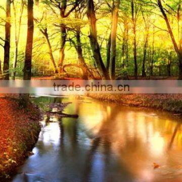 CS05 Modern Customize Home Decoration Village Scenery Canvas Oil Painting