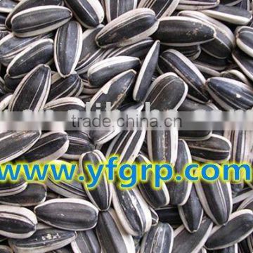 bulk sunflower seed