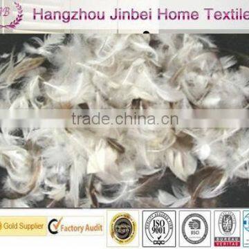 2-4CM grey duck feather washed feather IDFL standard filling material