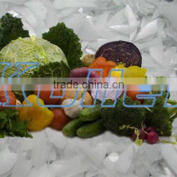 Flake Ice Machine Drum for freezing fish and meat