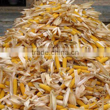 Multifunctional Spiral Screw Corn Leaves Juice Making Machine photo-5