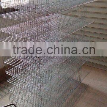 Automatic Quail Cage And Quail Farm Equipment Hot Sale