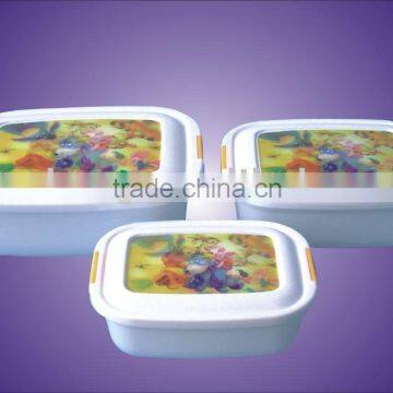 3D Fresh Container LUNCH BOXES /Sandwich Box