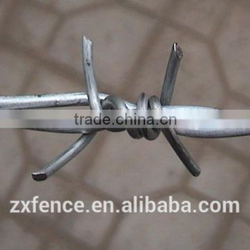 (12 years supplier) galvanized barbed wire