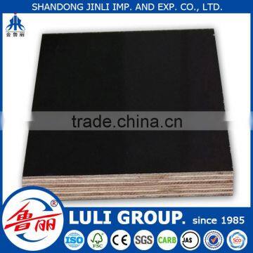 Eucalyptus core film faced plywood