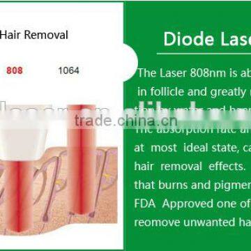 Diode Laser Skin Rejuvenation Equipment 808nm Diode Laser (808) photo-4