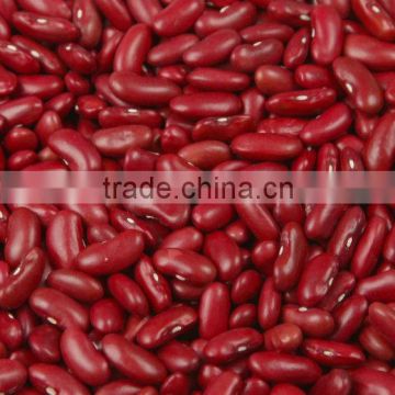 Dried Red kidney bean, british type