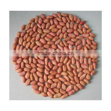 Chinese Peanut Kernel With Whole Price From Factory photo-3