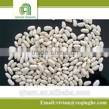 beans dry, white kidney , kidney beans